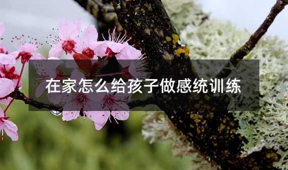 在家怎么给孩子做感统训练