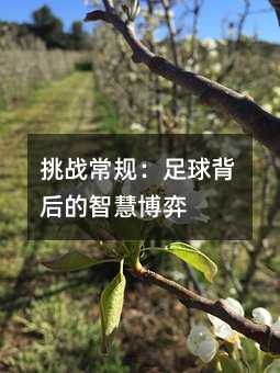 ��ս���棺���򱳺���ǻ۲���