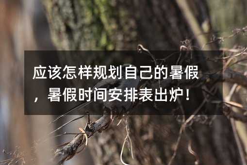 应该怎样规划自己的暑假,暑假时间安排表出炉!