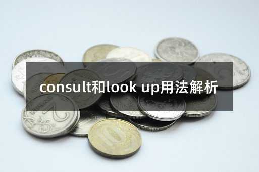 consultºÍlook upÓ÷¨½âÎö