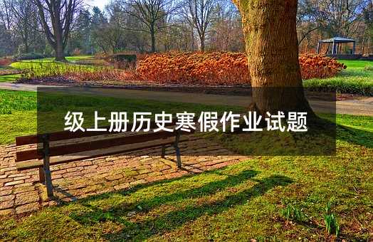级上册历史寒假作业试题