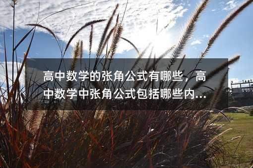 ������ѧ���Žǹ�ʽ����Щ��������ѧ���Žǹ�ʽ������Щ���ݣ�