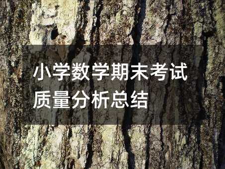 小学数学期末考试质量分析总结
