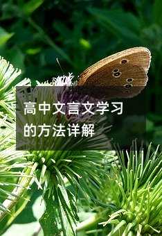 ����������ѧϰ�ķ������