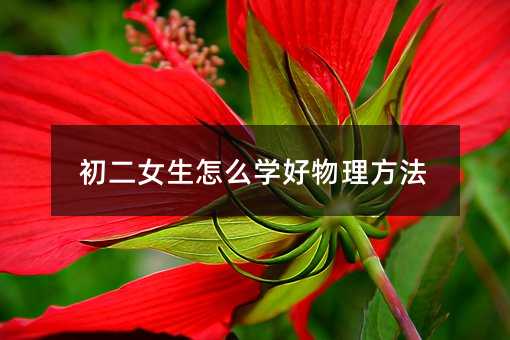 初二女生怎么学好物理方法