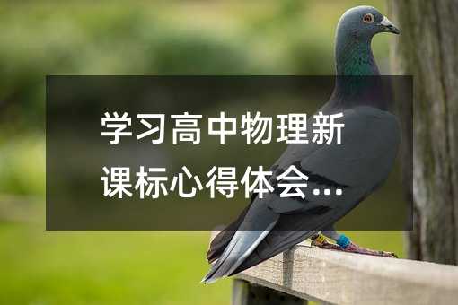 学习高中物理新课标心得体会(12)