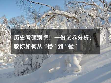 历史考砸别慌!一份试卷分析,教你如何从“懵”到“懂”