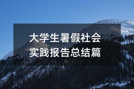 大学生暑假社会实践报告总结篇