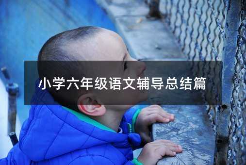 小学六年级语文辅导总结篇