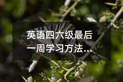 英语四六级最后一周学习方法分享