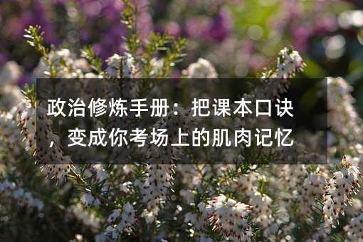 政治修炼手册:把课本口诀,变成你考场上的肌肉记忆