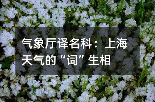 �����������ƣ��Ϻ������ġ��ʡ�����