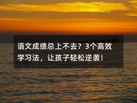 ���ĳɼ����ϲ�ȥ��3����Чѧϰ�����ú���������Ϯ��