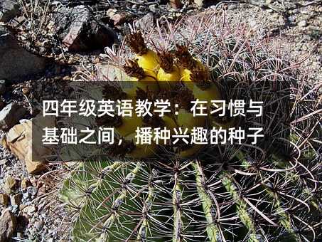 ���꼶Ӣ���ѧ����ϰ�������֮�䣬������Ȥ������