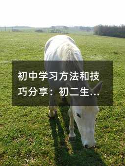 初中学习方法和技巧分享:初二生一定要注意这些事情!