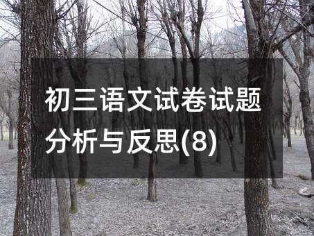 ���������Ծ���������뷴˼(8)