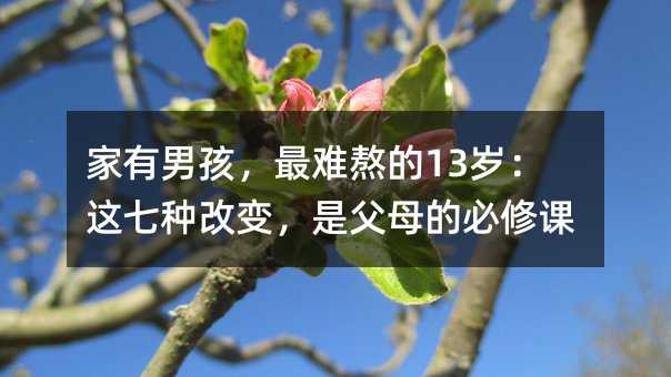 家有男孩,最难熬的13岁:这七种改变,是父母的必修课