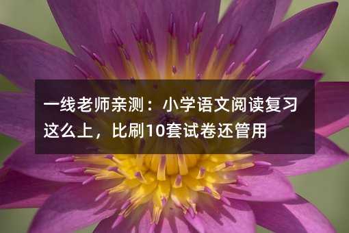 一线老师亲测:小学语文阅读复习这么上,比刷10套试卷还管用