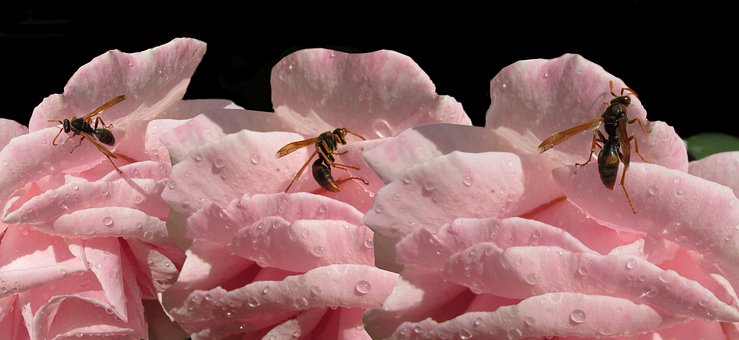 适合孩子学习的十种乐器