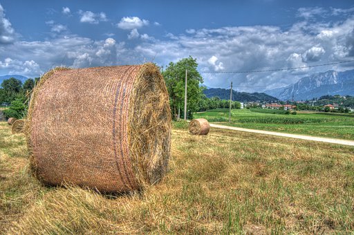 天才源于后天雕琢