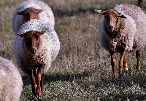 十大破坏性语言:“怎么生出你”最让孩子伤心
