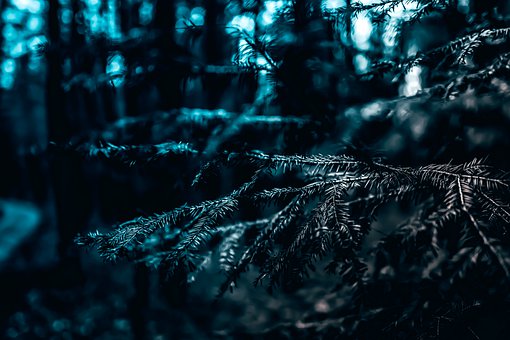 德国妈妈的岗位说明书 看德国妈妈教出自律孩子